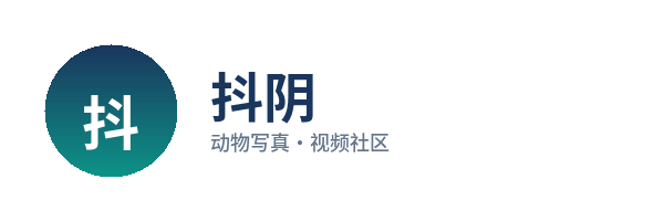 抖阴